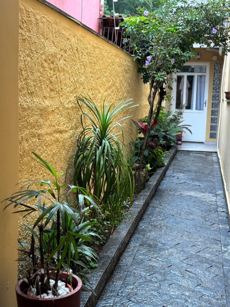 Corredor de entrada do Espaço Elo, com plantas e muro amarelo, levando à porta da casa